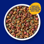 Kibbles 'n Bits 31 pound savory beef and chicken flavor dry dog food for adult dogs