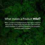 100% Wild-Grown Organic Brazil Nuts with High Selenium Content 7oz Pouch Non-GMO Snack