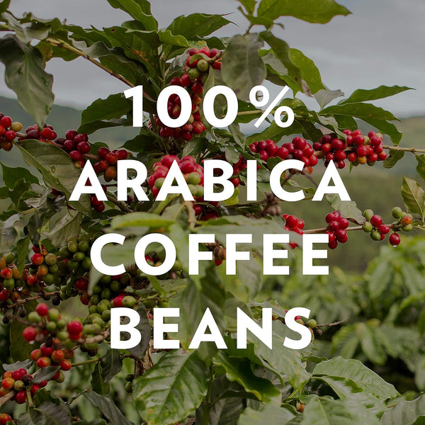 Community Coffee Breakfast Blend, Medium Roast 100% Arabica Ground Coffee, 12oz Bag