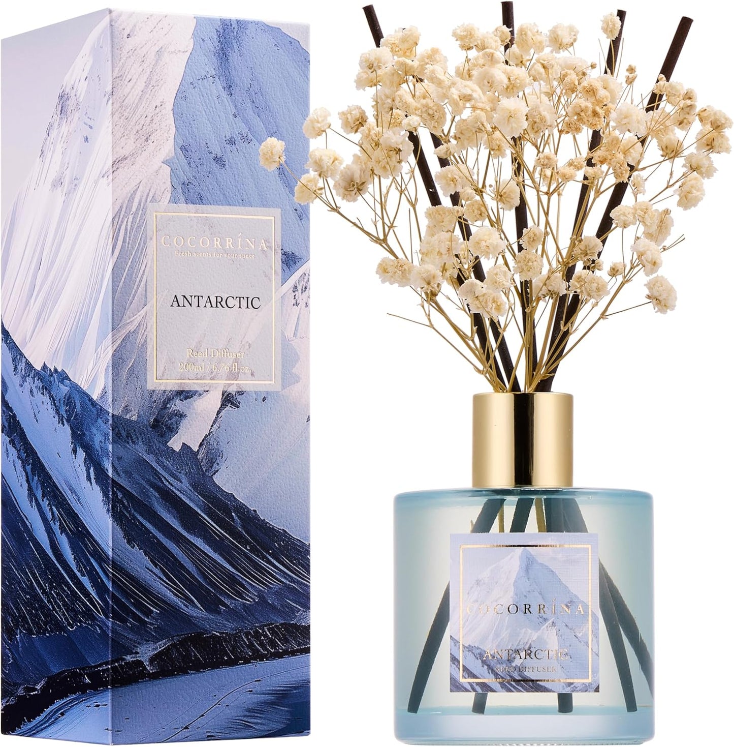 Cocorrína Premium Reed Diffuser Set with Preserved Baby's Breath & Cotton Stick Cashmere Vanilla | 6.7 fl oz Scent Fragrance Oil Diffuser for Bedroom Bathroom Home Décor