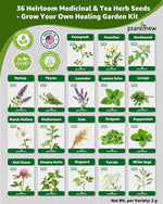 Herb Seeds Variety Pack for Planting Indoor & Outdoor