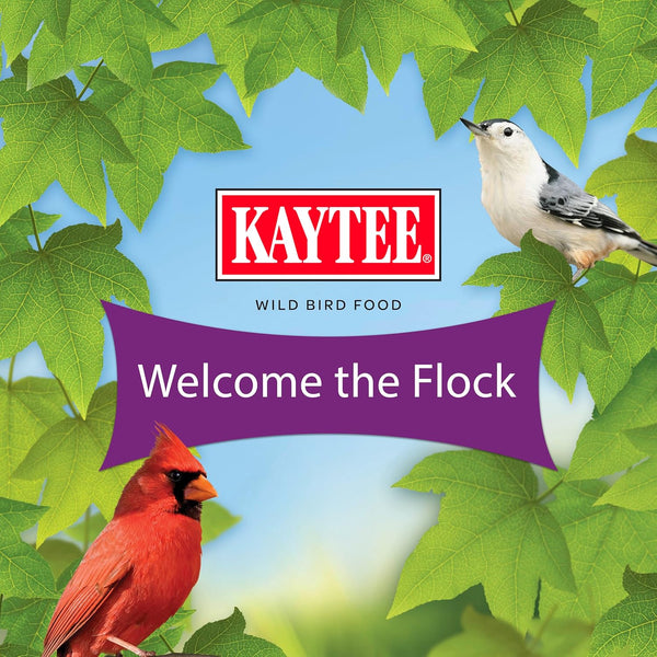Kaytee Wild Bird Seed 5 lb Attracts Colorful Songbirds