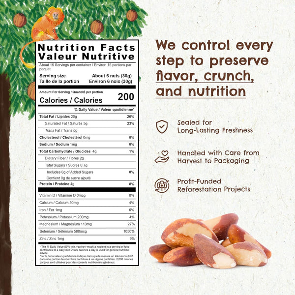 Brazil Nuts, 15 oz, Raw, Unsalted, Kosher, Organic, Vegan, Gluten Free, Harvested in Amazon Rainforest