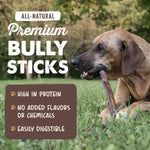 Mighty Paw 12" All Natural Grass Fed Beef Bully Sticks for Large Dogs and Small Breeds - Single Ingredient Treats