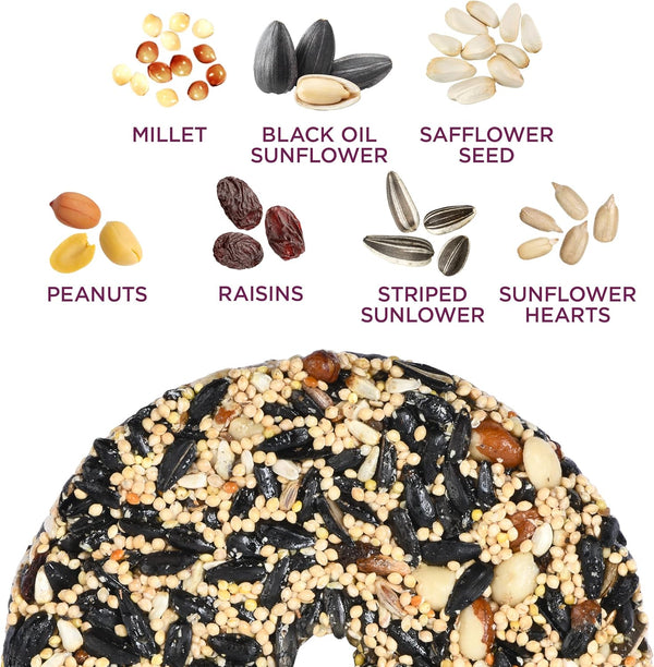 Audubon Park Nut & Fruit Snack Stack Bird Food 6-Pack