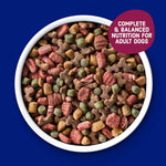 Kibbles 'n Bits Savory Bacon & Steak Adult Dog Food, 100% Complete, 16 lb. Bag