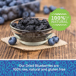 Bulk Dried Blueberries, No Sugar Added, 1 Pound, 16 oz, All Natural, Non-GMO