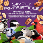 Pennington Ultra Double Nut and Fruit Bird Feed 10lbs
