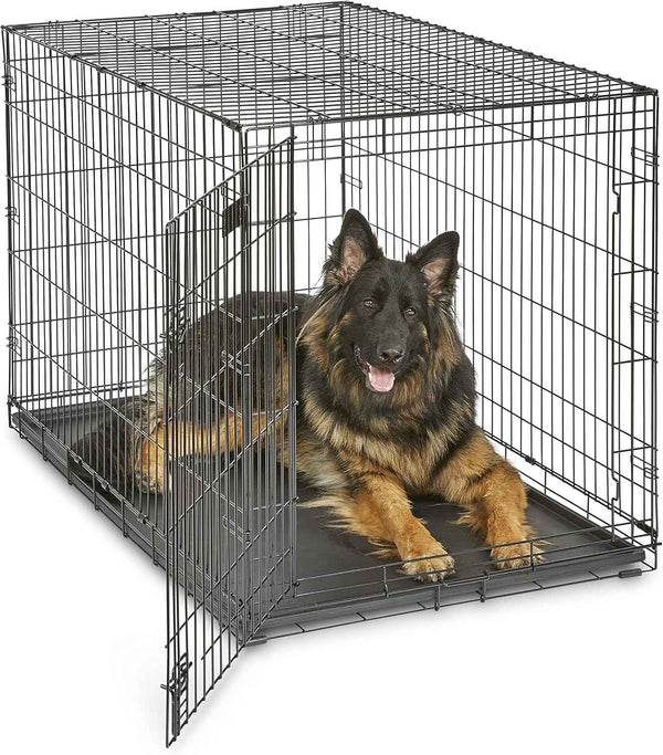 MidWest Homes for Pets 36-Inch iCrate Folding Dog Crate with Divider Panel, Leak-Proof Tray & Secure Latches – Metal Wire Kennel for Medium Large Breeds – Portable, Durable & Easy to Assemble