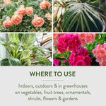 Garden Safe 32 oz. insecticidal soap for indoor and outdoor pest control of aphids and more