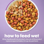 Purina Beneful kitchen creations 30-pack wet dog food variety pack beef chicken lamb 3 oz cans