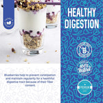 Bulk Dried Blueberries, No Sugar Added, 1 Pound, 16 oz, All Natural, Non-GMO