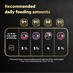cesar steak lovers variety pack, 3.5 oz easy peel trays, 24 count, wet dog food for adult dogs