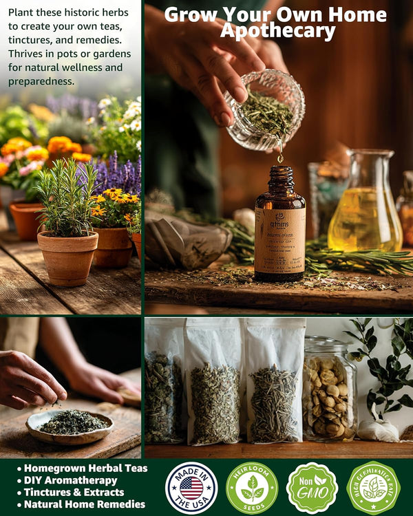 Herb Seeds Variety Pack for Planting Indoor & Outdoor