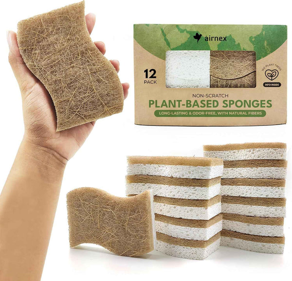 Natural Compostable Cellulose Coconut Walnut Kitchen Sponges 12 Pack Gentle Eco Friendly Daily Cleaning