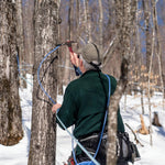 Butternut Mountain Farm Pure Vermont Maple Syrup, Grade A, Dark Color, Robust Taste