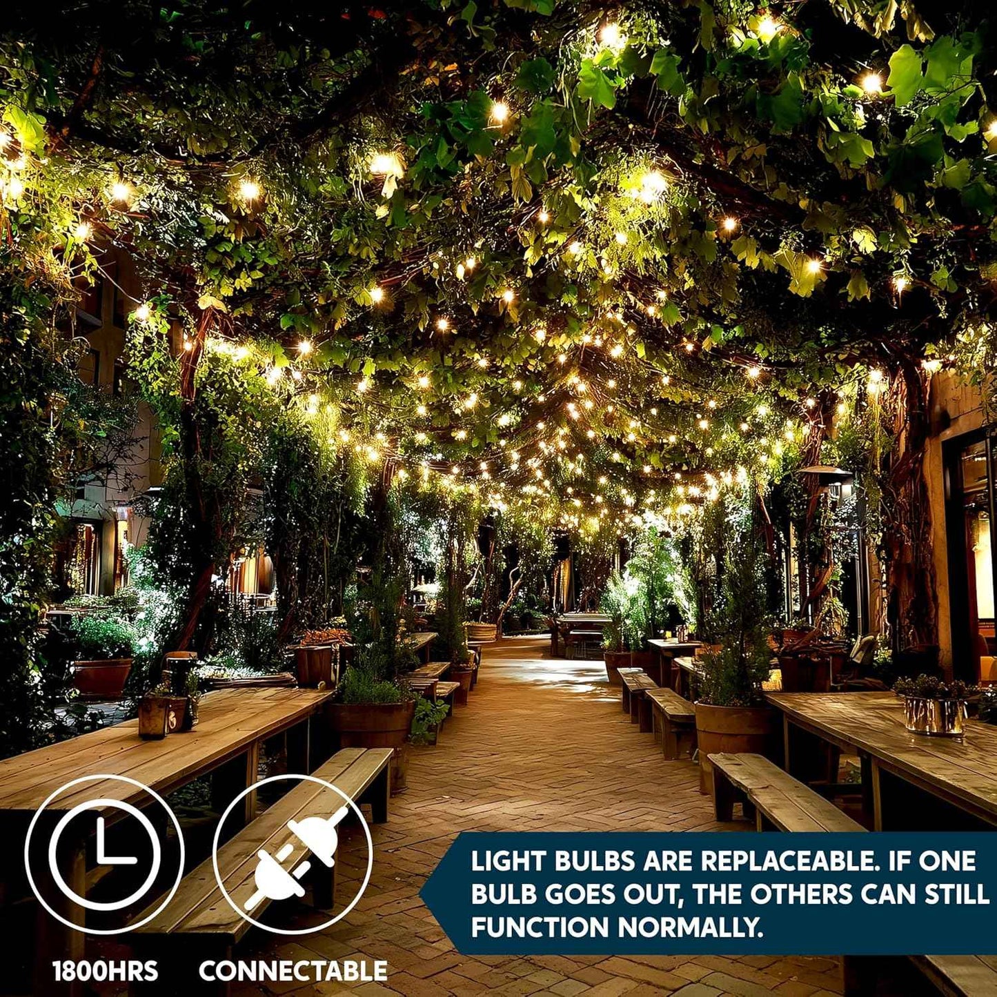 Joiedomi Clear Christmas String Lights Indoor,100 Count Mini Warm White Fairy Light,19.4 FT Lighting Decor for Patio Dorm Classroom Bedroom Holiday Wedding Party Garland Birthday Festival,Green Wire