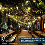 Joiedomi Clear Christmas String Lights Indoor,100 Count Mini Warm White Fairy Light,19.4 FT Lighting Decor for Patio Dorm Classroom Bedroom Holiday Wedding Party Garland Birthday Festival,Green Wire