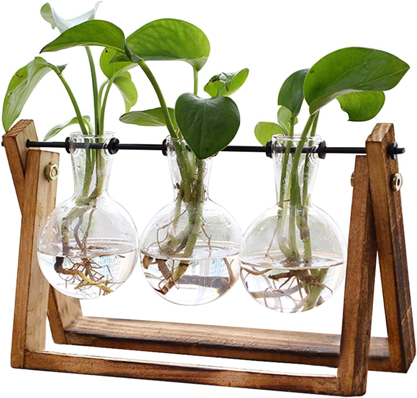 XXXFLOWER plant terrarium with wooden stand and 3 glass bulb vases on a metal swivel holder for hydroponics